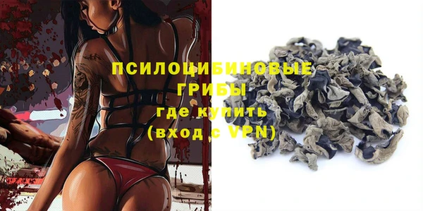 твердый Алзамай