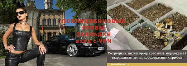 мескалин Алексин