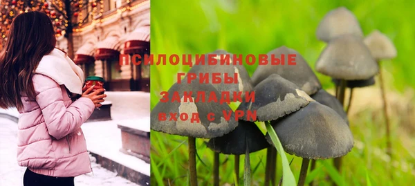 мескалин Алексин