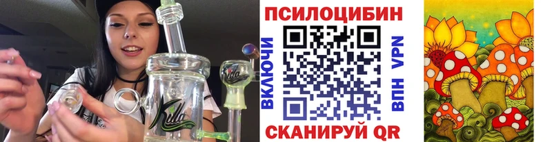 кракен зеркало  как найти наркотики  Елабуга  Галлюциногенные грибы прущие грибы 