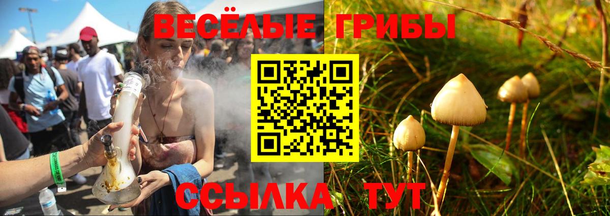 Елабуга  Псилоцибиновые грибы Psilocybine cubensis  Вход с VPN  дарнет шоп  Псилоцибиновые грибы ЛСД 